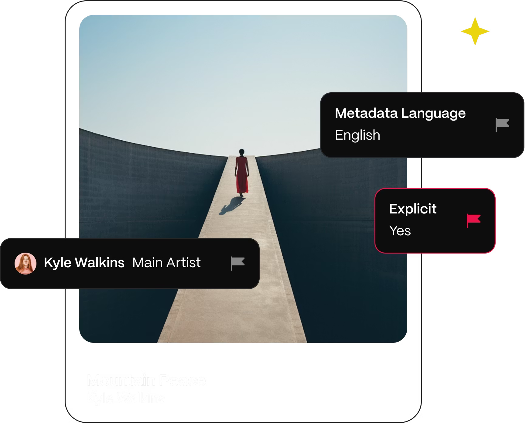 Distribution metadata quality control